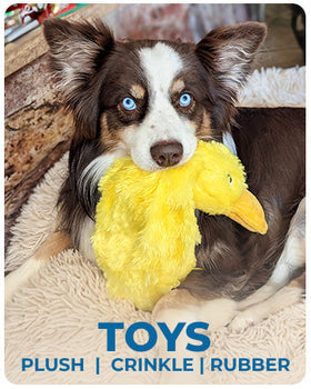 Stuffed Duck