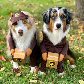 Funny Express Dog Clothes