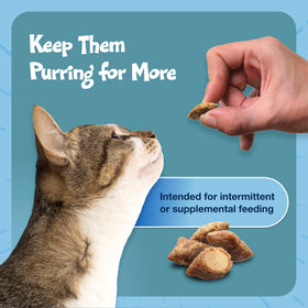 Bursts Crunchy & Creamy Cat Treats, Great for Training, Savory Seafood, 2-Oz. Bag