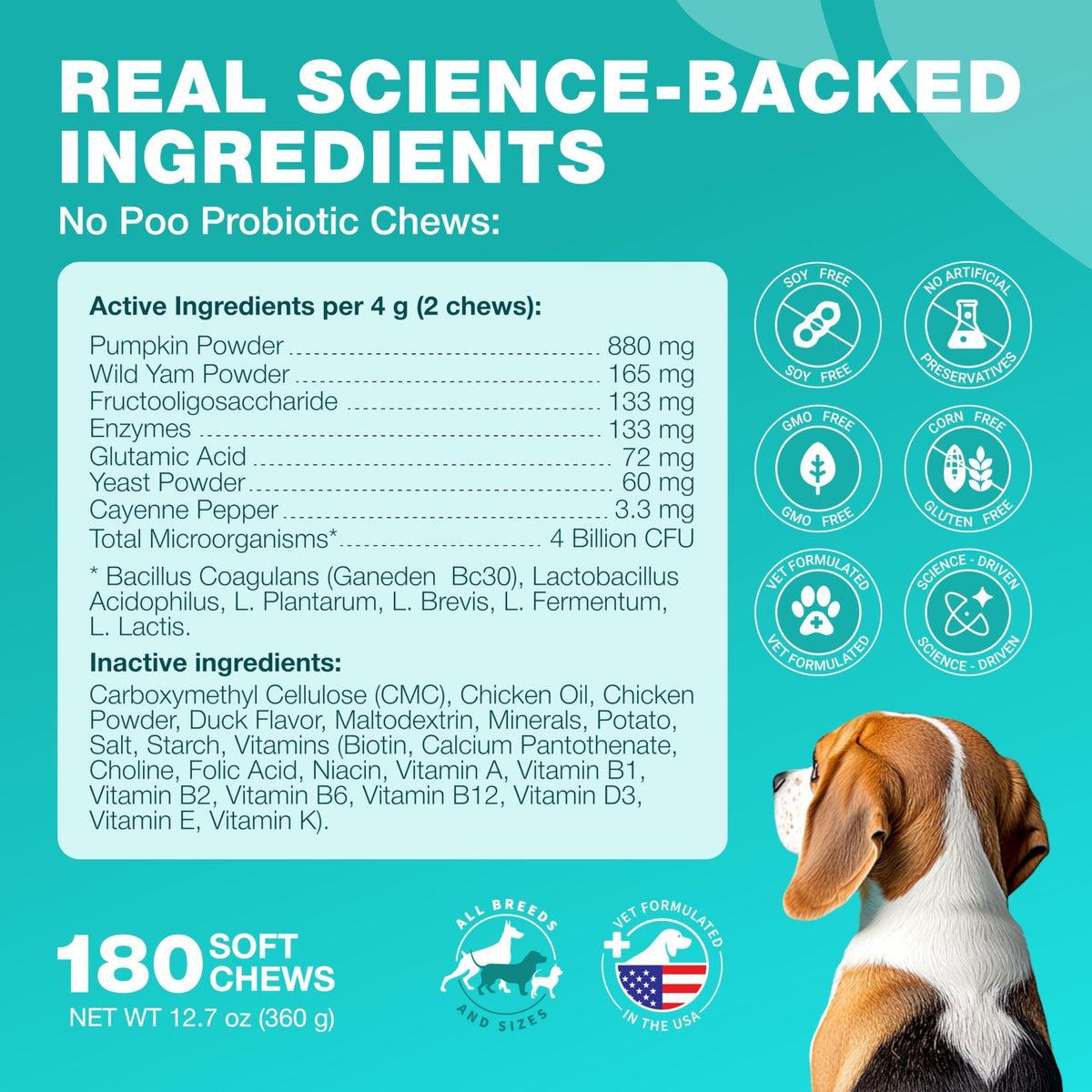 Dog Probiotics for Digestive Health with Enzymes