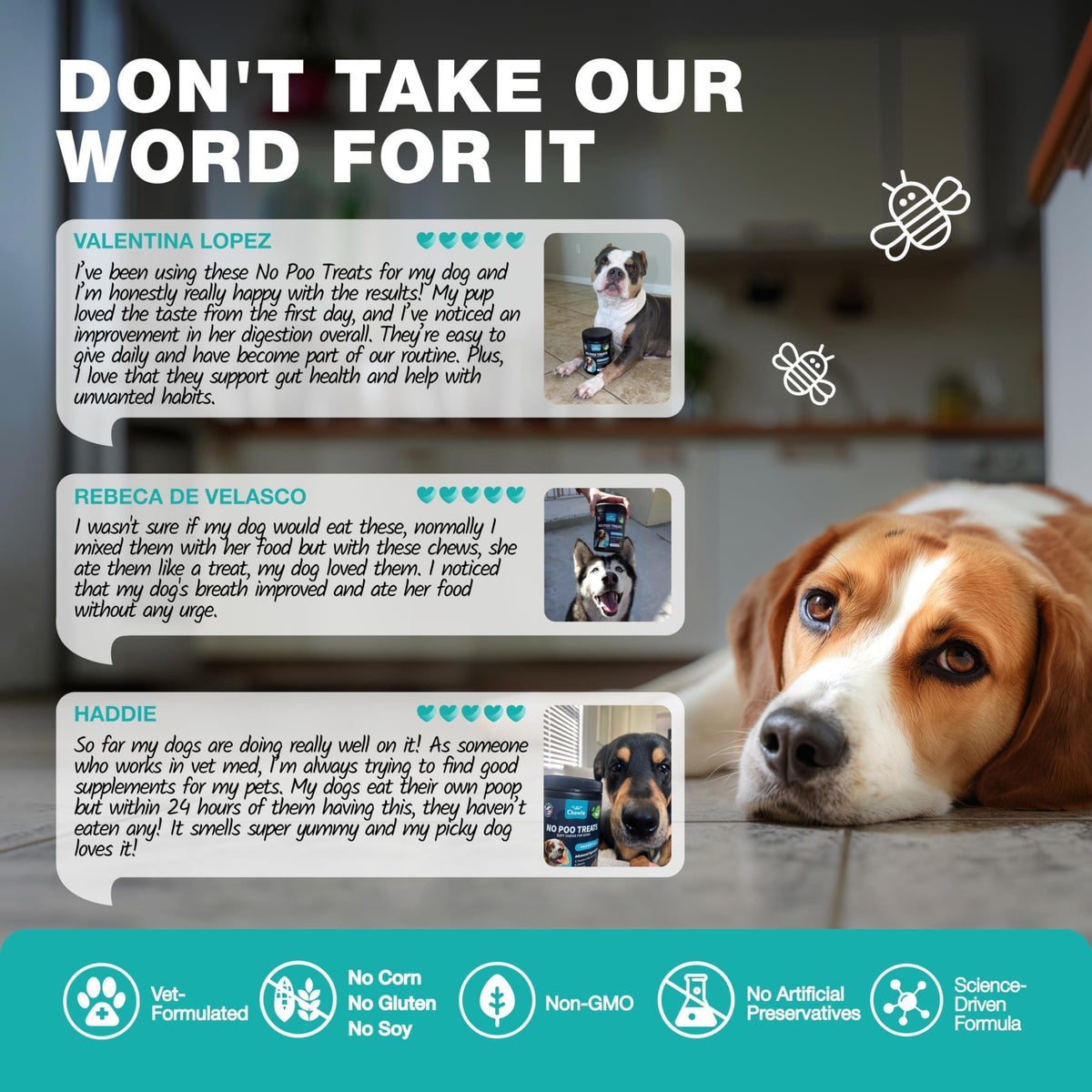 Dog Probiotics for Digestive Health with Enzymes
