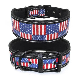 Reflective Puppy Big Dog Collar With Buckle, Adjustable
