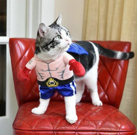 Boxer Costume