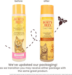 Hypoallergenic Cat Shampoo with Shea Butter and Honey, Gentle Formula for Indoor Cats with Dry or Sensitive Skin, Ph Balanced, Fragrance-Free, 10 Fl Oz - 2 Pack