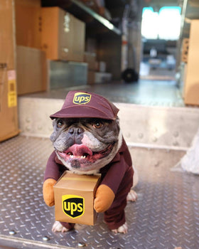 Funny Express Dog Clothes