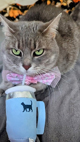 Catnip & Crinkle Plush Cat Toy