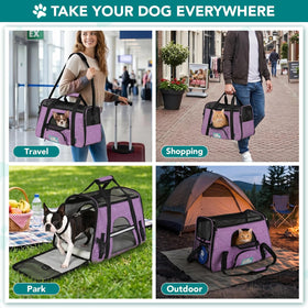 Soft Sided TSA Travel Carrier Bag with Sherpa Bed, Breathable Mesh Ventilation, Collapsible Bowl, up to 18 Lbs