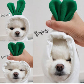 Fruit-Print Fleece Hoodie for Small Dogs