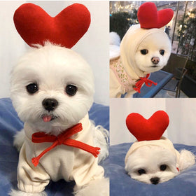 Fruit-Print Fleece Hoodie for Small Dogs