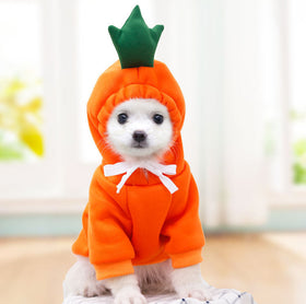 Fruit-Print Fleece Hoodie for Small Dogs