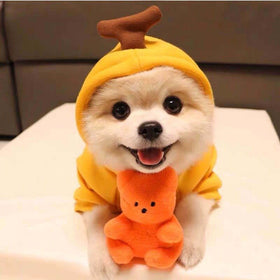 Fruit-Print Fleece Hoodie for Small Dogs