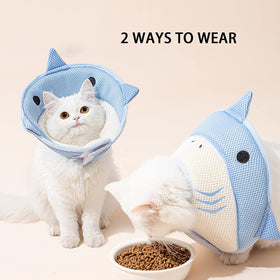 Cat Recovery Cone, Shark Shaped