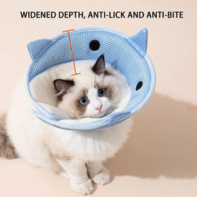 Cat Recovery Cone, Shark Shaped