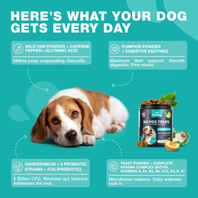 Dog Probiotics for Digestive Health with Enzymes