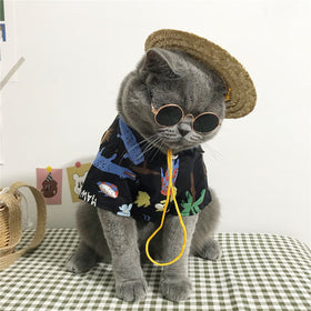 Tropical Vacation Pet Costume Set