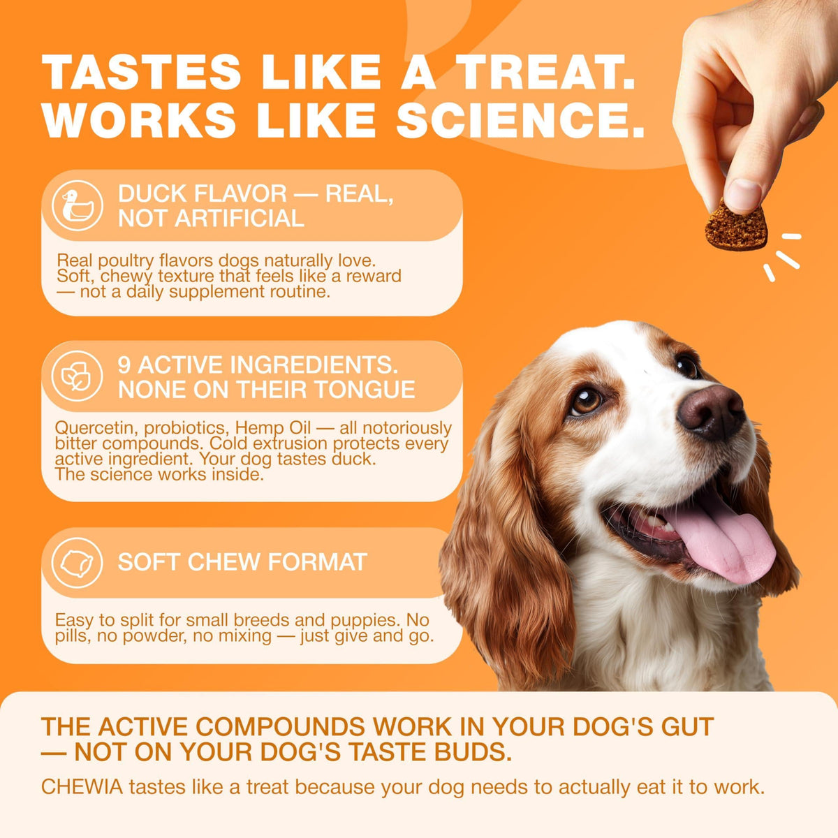 Dog Allergy Relief Chews with Probiotics, Colostrum, Salmon Oil