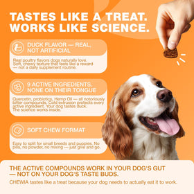 Dog Allergy Relief Chews with Probiotics, Colostrum, Salmon Oil