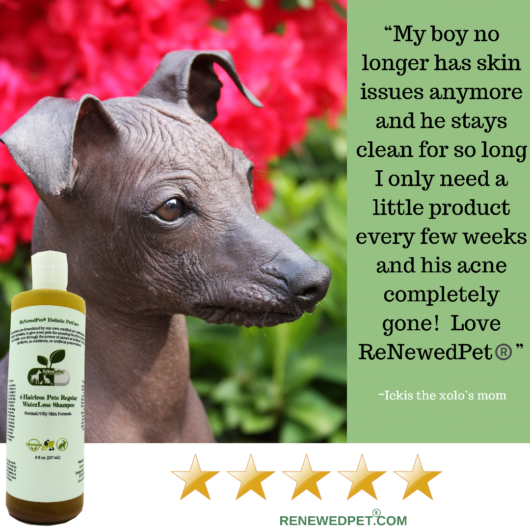 ReNewedPet® 4-Hairless Pets Conditioner