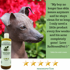 ReNewedPet® 4-Hairless Pets Conditioner