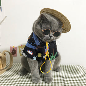 Tropical Vacation Pet Costume Set