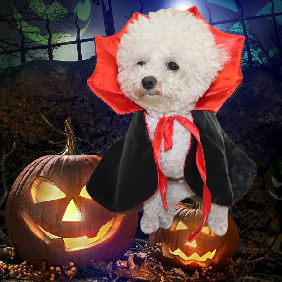 Halloween Pet Costume For Small Dog Cat Kitten Puppy