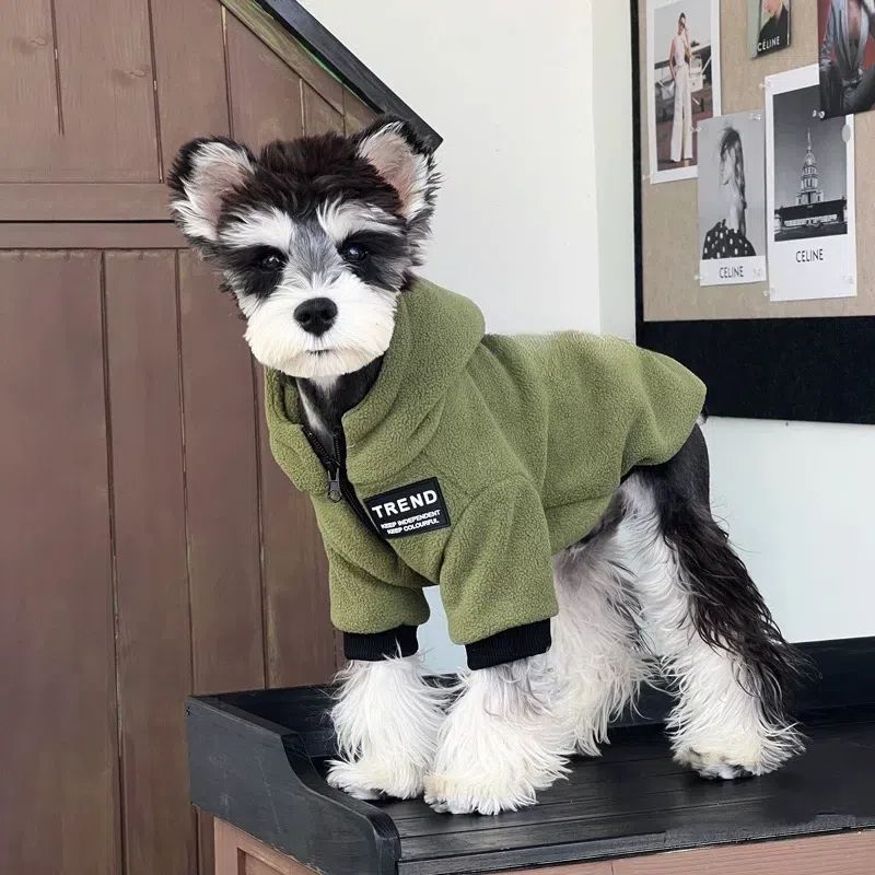 Fleece-lined Hoodie For Small Dogs