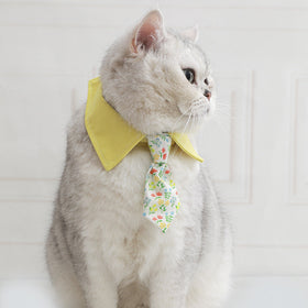 Cat Bow Tie Collar In Multiple Styles