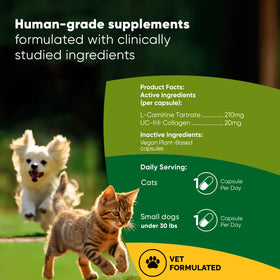 Rooted Owl™ Joint & Muscle Health (Small Pets)