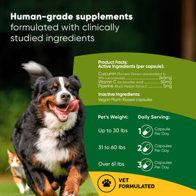 Rooted Owl® Turmeric
