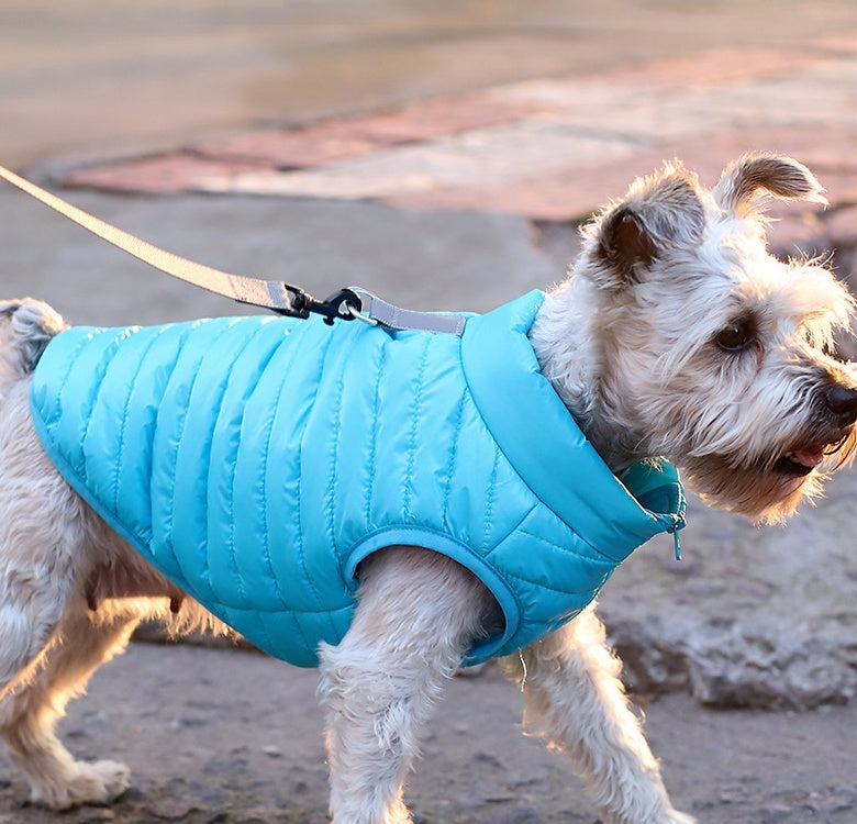 Autumn And Winter Full Nylon Zipper Puppy Jacket