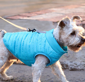 Autumn And Winter Full Nylon Zipper Puppy Jacket