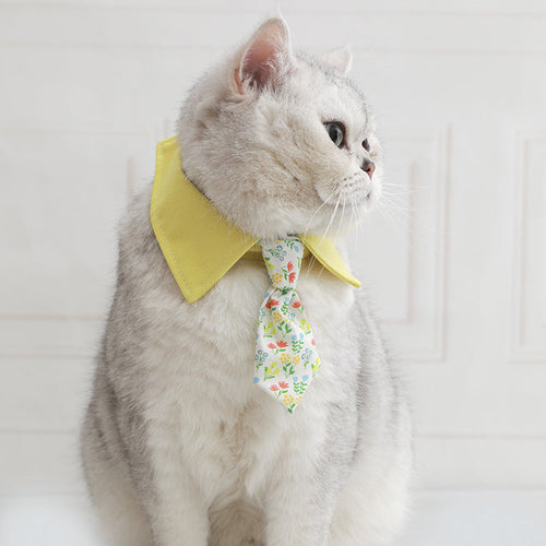 Cat Bow Tie Collar In Multiple Styles