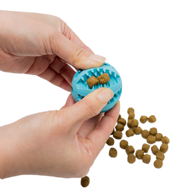 Squeaky Interactive Dog Balls for Puppy Teething