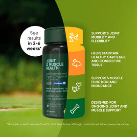 Rooted Owl™ Joint & Muscle Health (Small Pets)