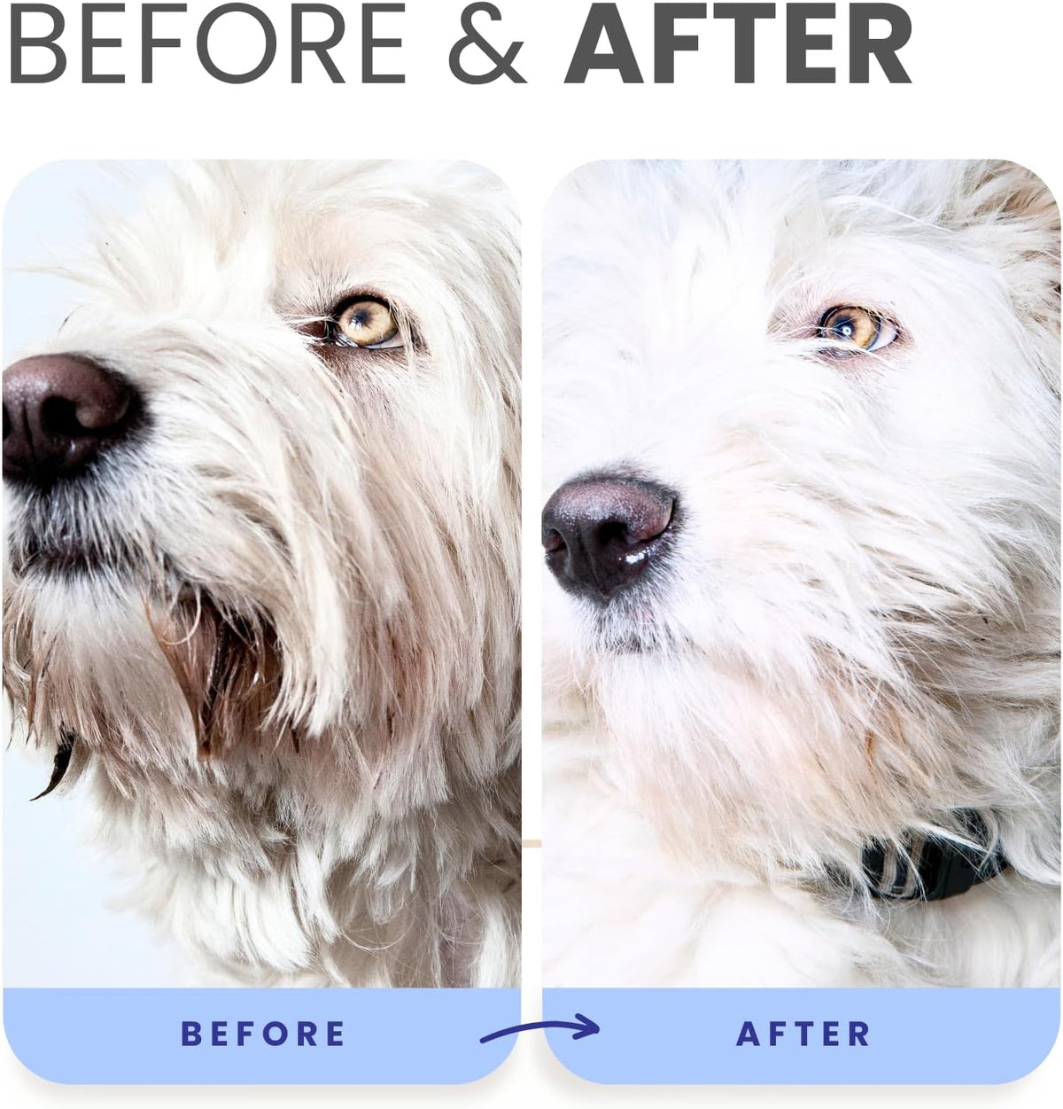 PRO Formula Berry Blue Brightening Pet Shampoo - Ultra-Hydrating Professional Whitening Dog Shampoo, Vivid Show-Quality Coat Enhancer, Tear Stain & Odor Eliminator with Provitamin B5 16Oz