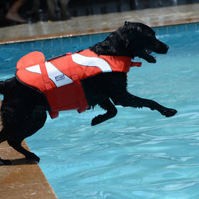 Mermaid Shark Adjustable Dog Life Jacket Vest
