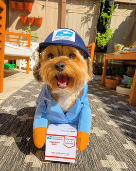 Funny Express Dog Clothes