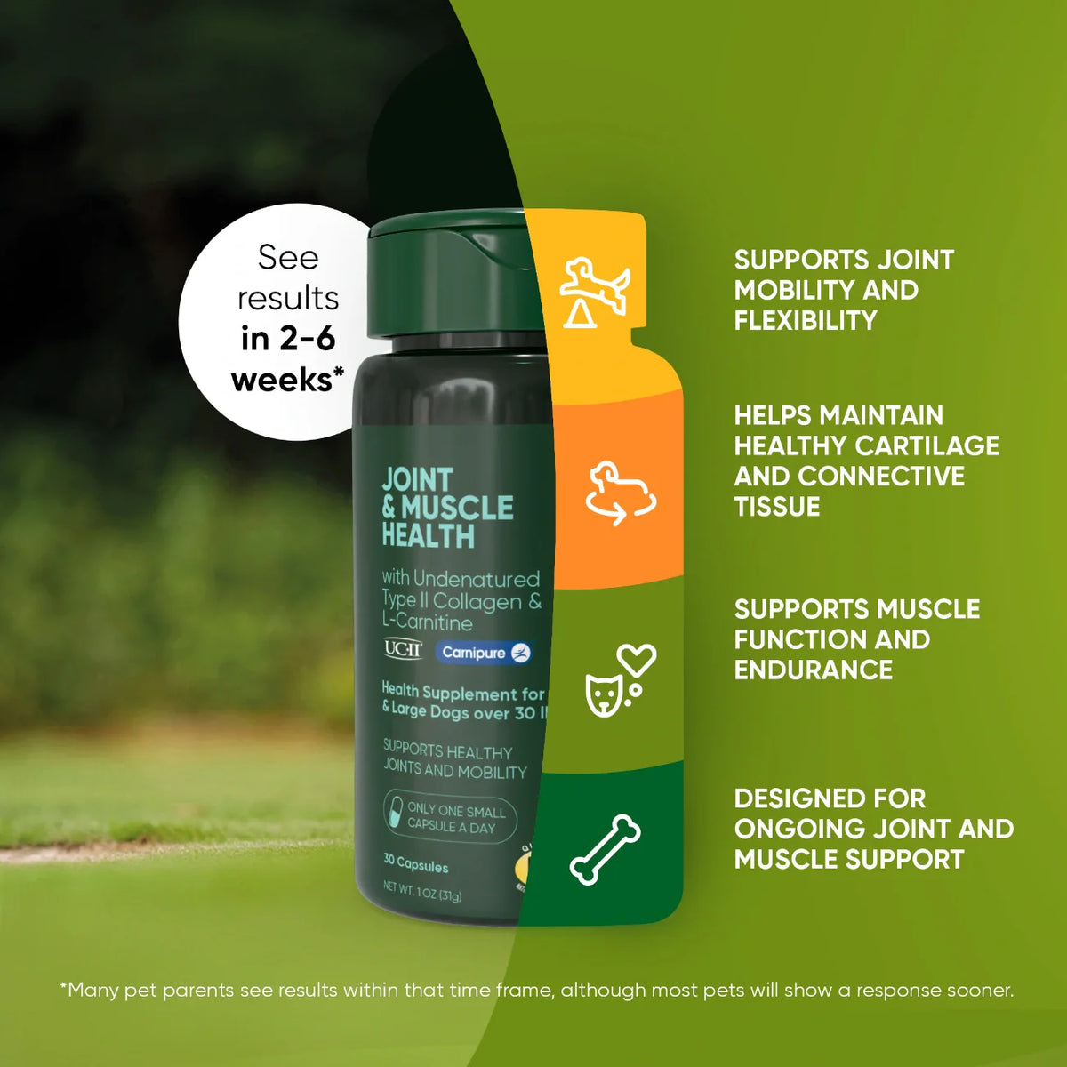 Rooted Owl™ Joint & Muscle Health (Med - Large Pets)