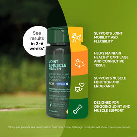 Rooted Owl™ Joint & Muscle Health (Med - Large Pets)