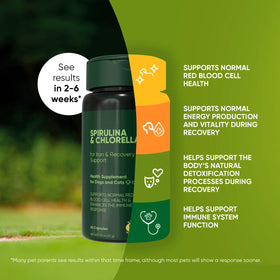 Rooted Owl® Spirulina & Chlorella