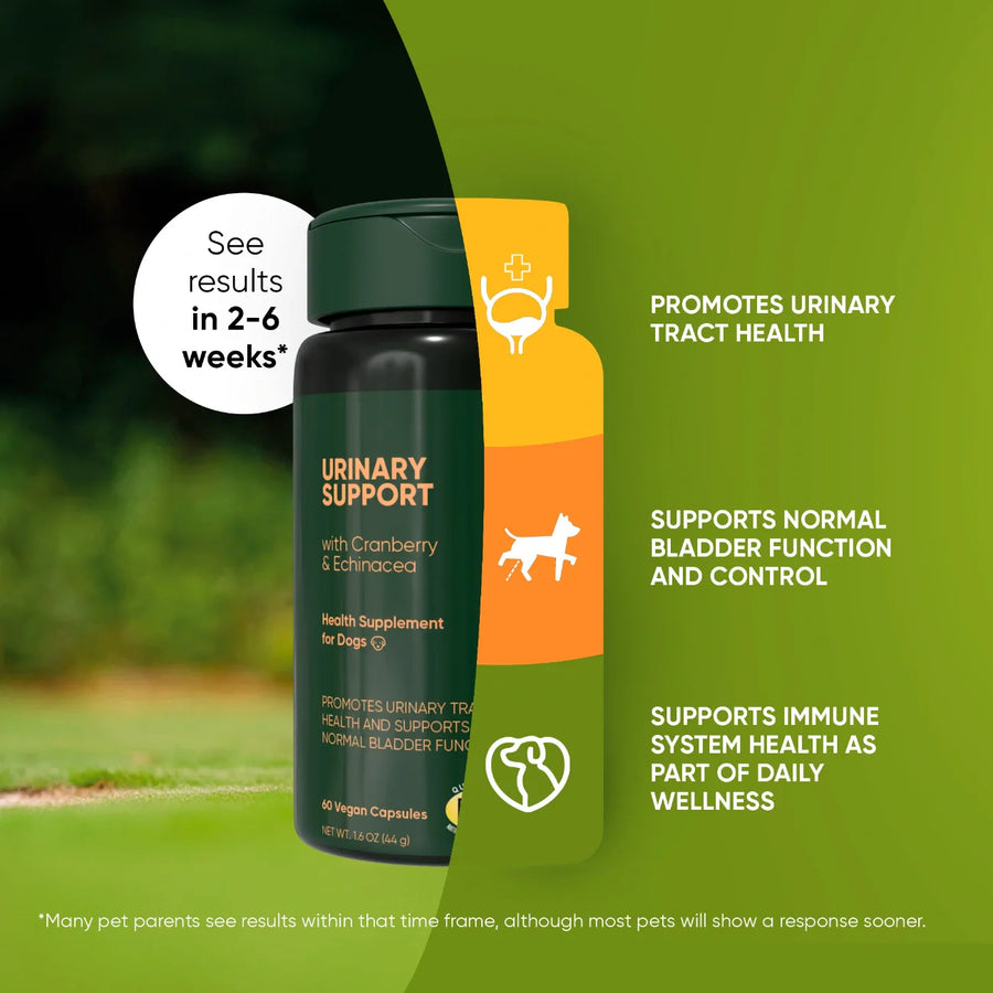 Rooted Owl® Urinary Support