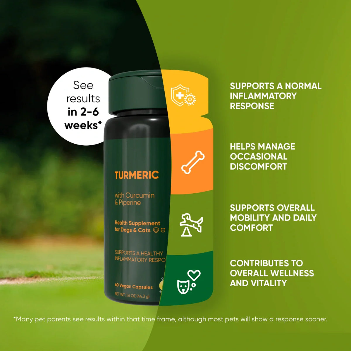 Rooted Owl® Turmeric