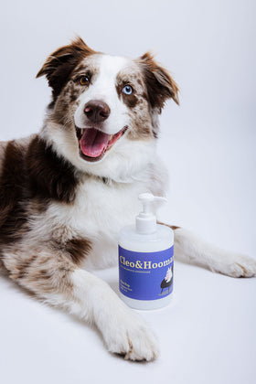 Dog Shampoo & Conditioner, Pure Pup by Cleo & Hooman