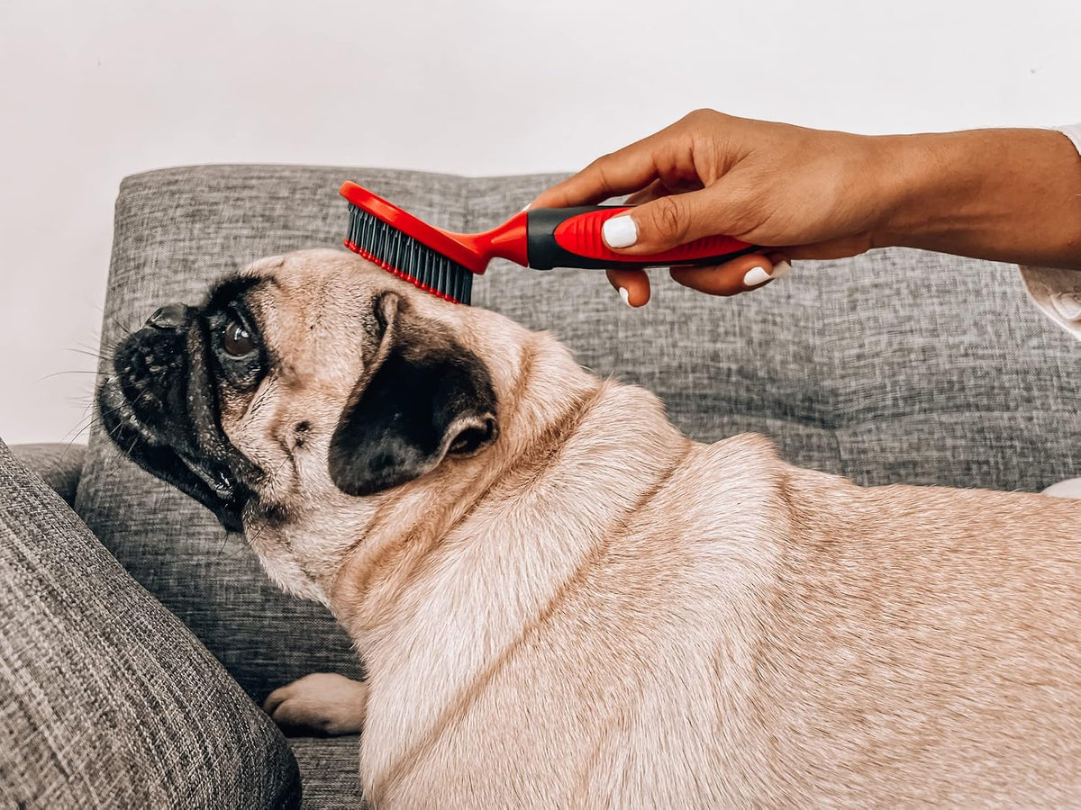 round Bristle Soft Brush for Dogs and Cats | Gentle Grooming for Short or Long Hair | Soft Pin Tool for Sensitive Skin | Detangle & Remove Loose Fur | for Dematting & Detangling Undercoat