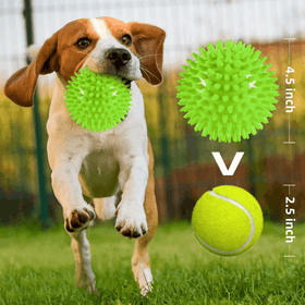 Squeaky Interactive Dog Balls for Puppy Teething