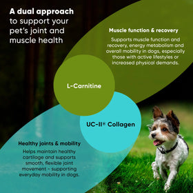 Rooted Owl™ Joint & Muscle Health (Small Pets)