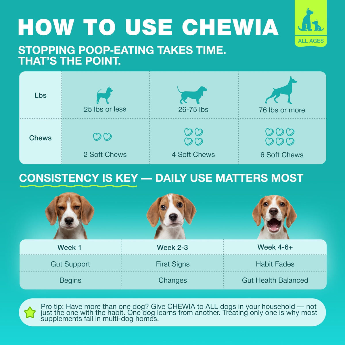 Dog Probiotics for Digestive Health with Enzymes