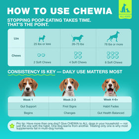 Dog Probiotics for Digestive Health with Enzymes