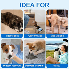 Male Dog Diapers Disposable & Leakproof Wraps 60 Count