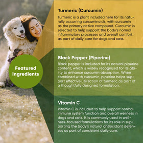 Rooted Owl® Turmeric